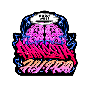 Amnesia Hy Pro al por mayor