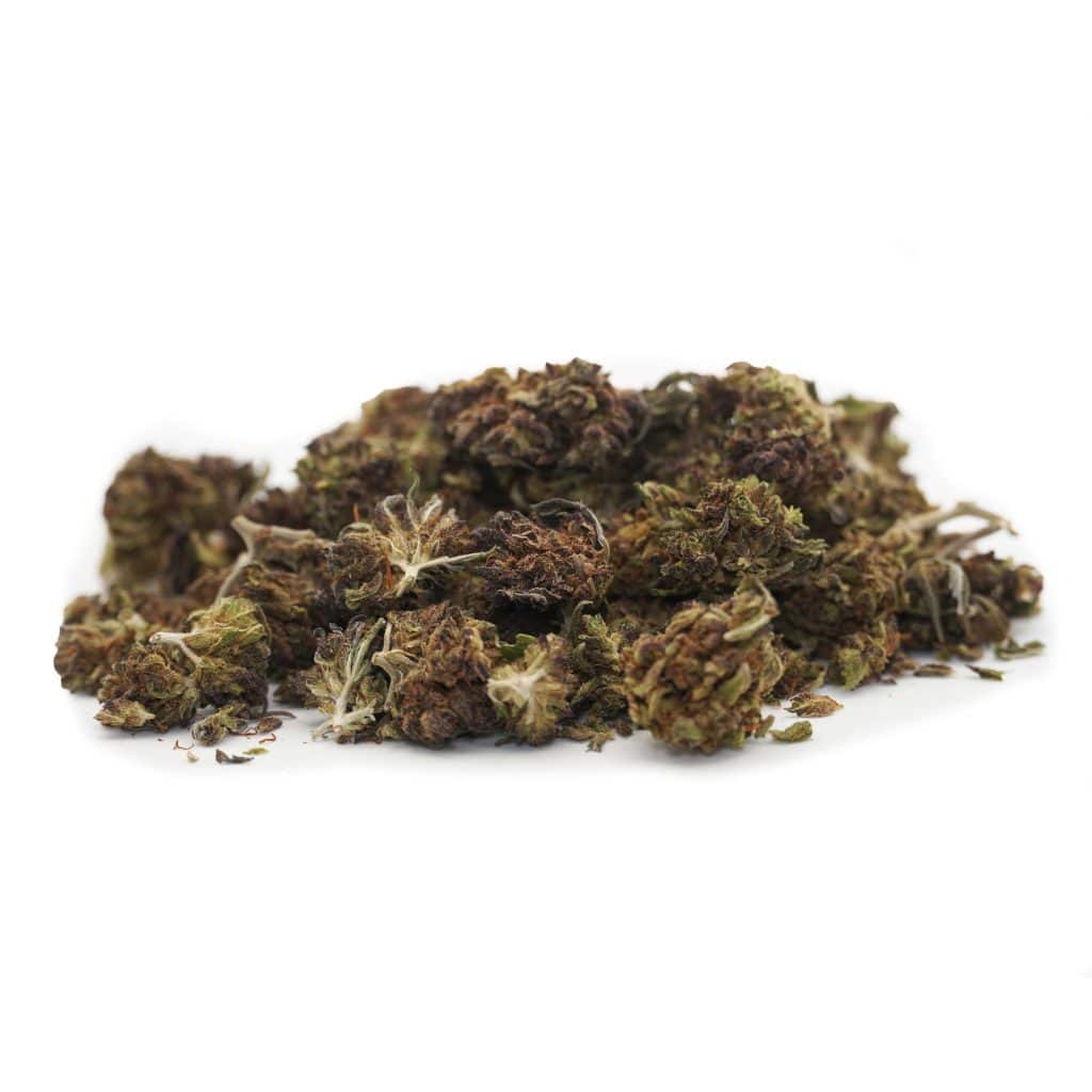 MiniBuds Black Panther Naturwest