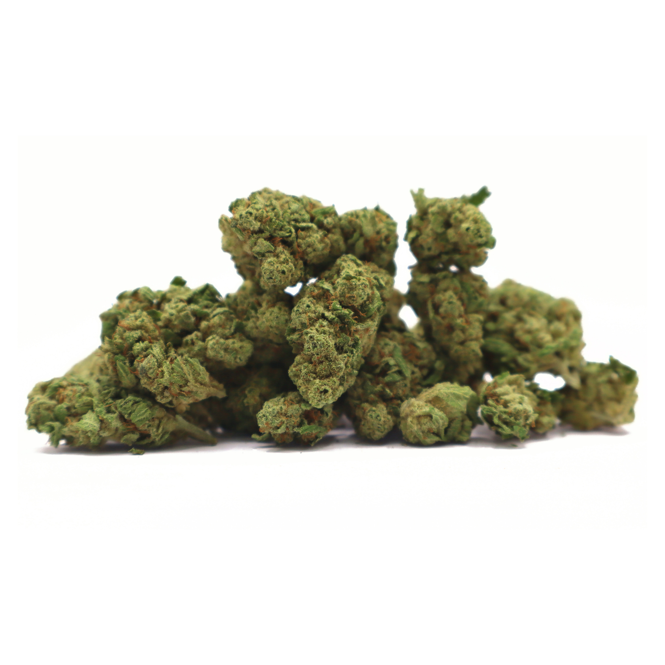 MINI BUDS INDOOR - LIMOSA - Imagen 2